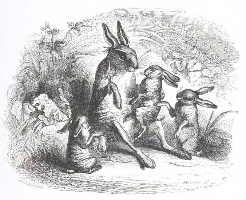 Scenes de la vie privee et publique des animaux tome 1 0085