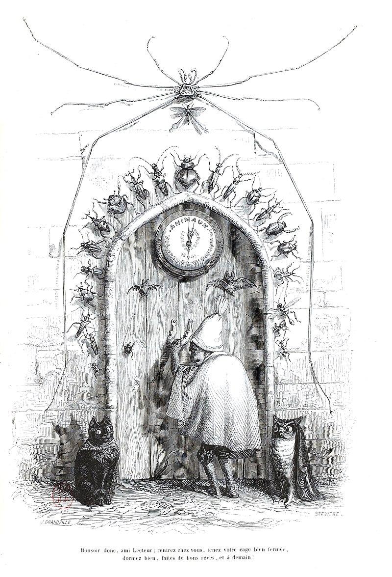 Scenes de la vie privee et publique des animaux tome 1 0607
